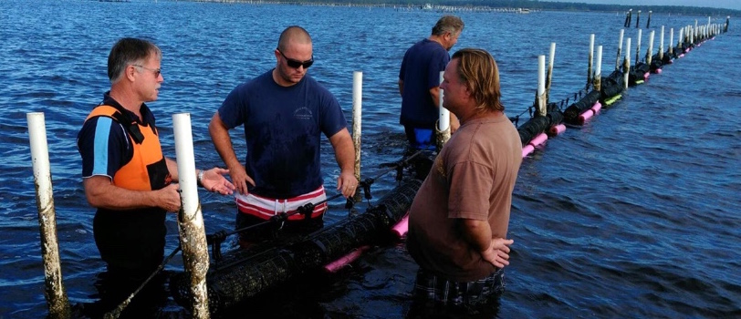 Seapa teach oyster farmers