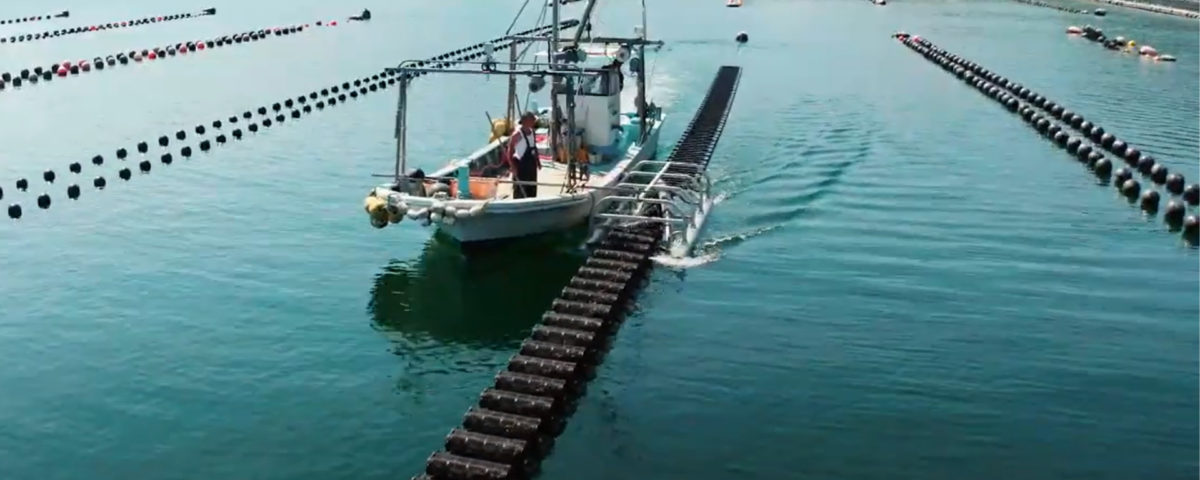 SEAPA trials in Japan, deep water, oyster boat