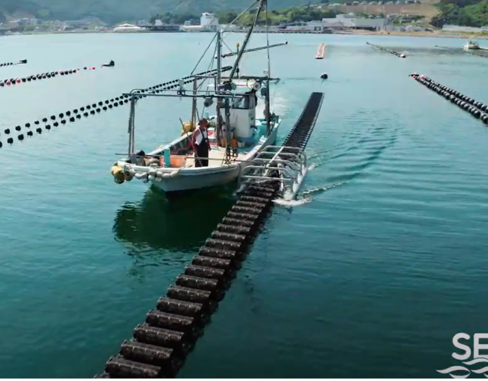 SEAPA trials in Japan, deep water, oyster boat